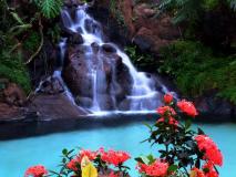 waterfalls.jpg