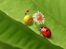 ladybug-birthday.jpg