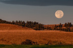 zetvena-polna-luna.jpg